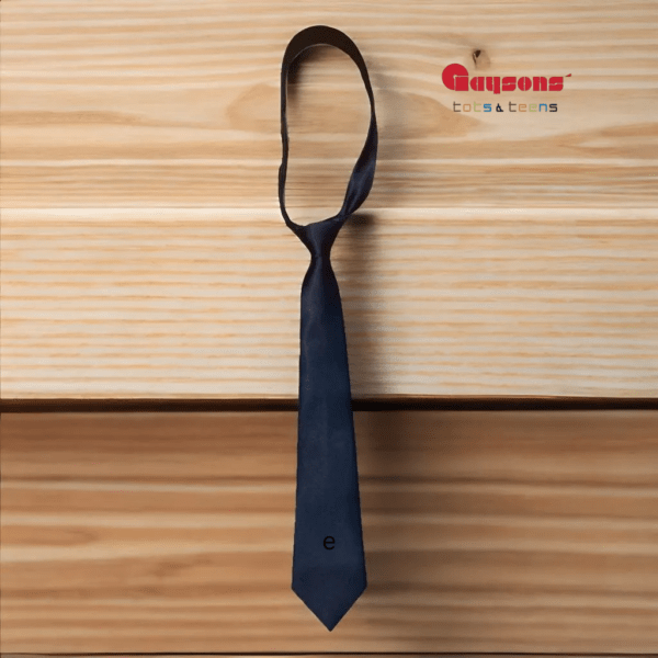 Blue Tie | College Uniform