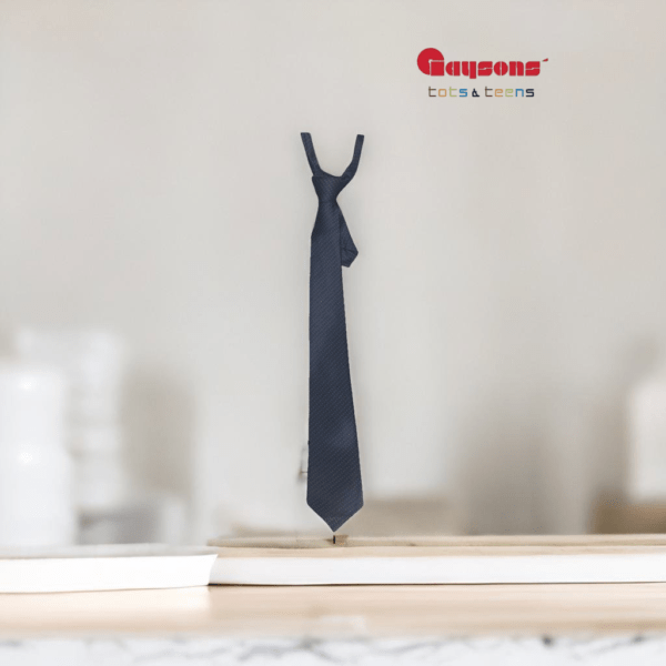 Blue Tie | College Uniform