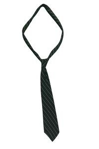 11th & 12th Standard Official School Tie-BVM