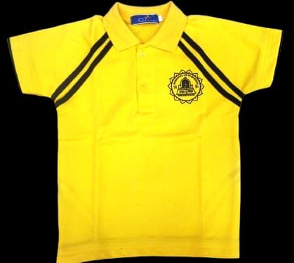 House colour T-Shirt (for Boys & Girls) STD. Ist to VIIth & VIIIth to Xth